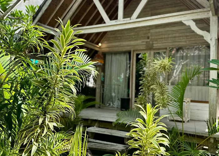 Gasthof Danys House At Tiki Bar And 2*